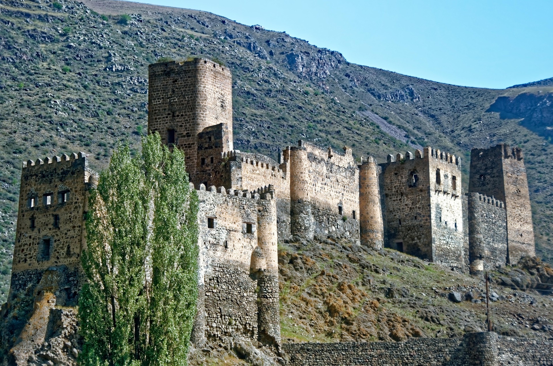 Photo 7